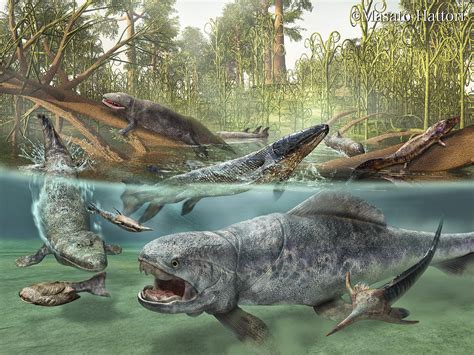 Devonian Period .